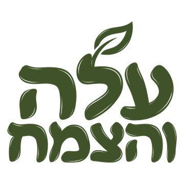 עלה והצמח